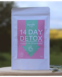 Фиточай "DETOX 14 DAY" очищение организма 28 ф/п Биопрактика (Фото 1)